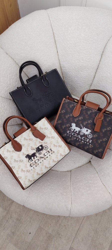 شنتة COACH